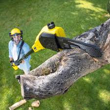 Best Lawn Grading and Leveling  in Bartonvle, IL